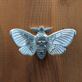 Pewter death's head hawkmoth wall hook mounted on a wood board, front view